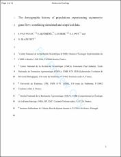 Miniatura